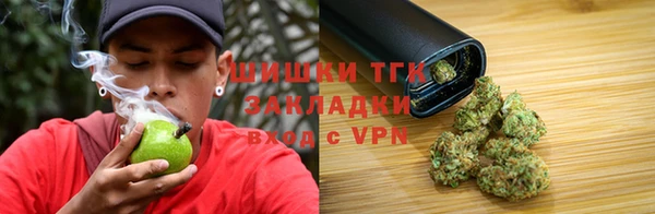 индика Алзамай