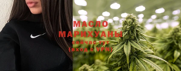 гидра Покачи