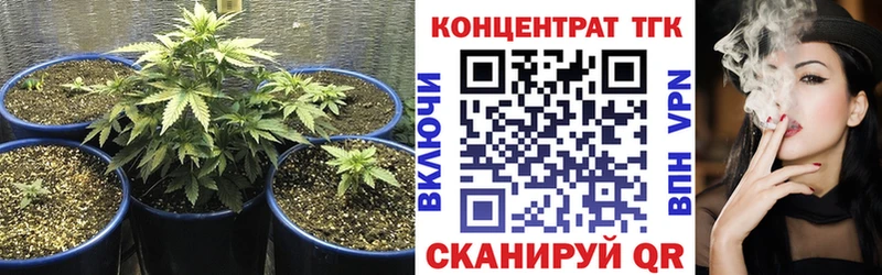 ТГК гашишное масло  продажа наркотиков  МЕГА сайт  Советский 