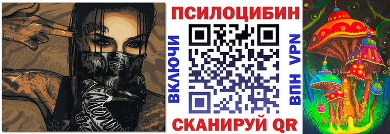 купить закладку  Советский  Галлюциногенные грибы мицелий 