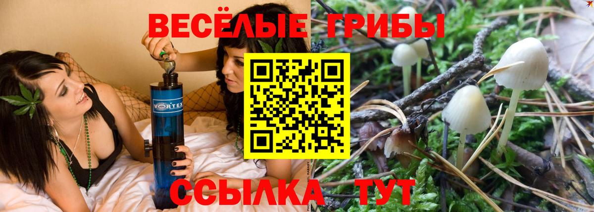 Галлюциногенные грибы Magic Shrooms  Вход с VPN  Советский  Псилоцибиновые грибы GOLDEN TEACHER 